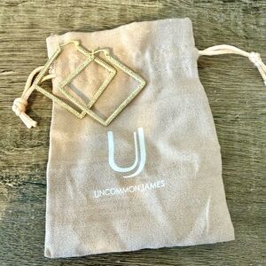 Uncommon James Geometric Hoop Earrings ✨